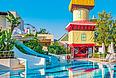 Delphin Diva_5