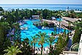 Delphin Diva_4